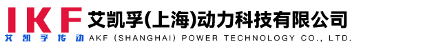 艾凯孚（上海）动力科技有限公司