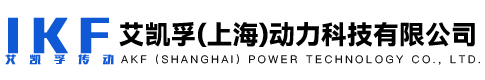 艾凯孚（上海）动力科技有限公司