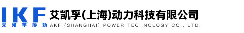 艾凯孚（上海）动力科技有限公司