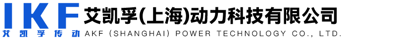 艾凯孚（上海）动力科技有限公司