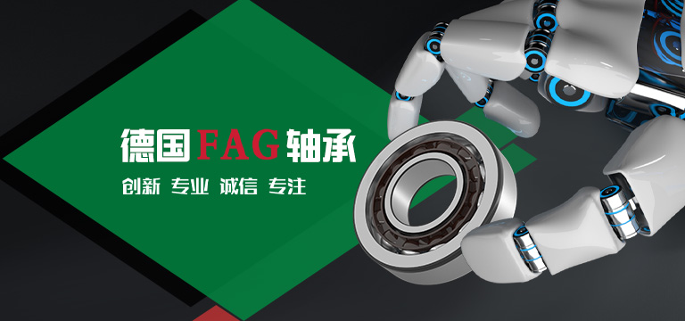 艾凯孚（上海）动力科技有限公司